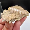 Apatite from Pakistan - image 2