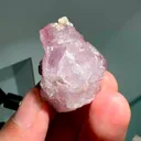 specimen video