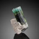 Apatite, Mica, Tourmaline from Pakistan, Gilgit-Baltistan, Roundu District, Haramosh Mts., Stak Nala - image 1