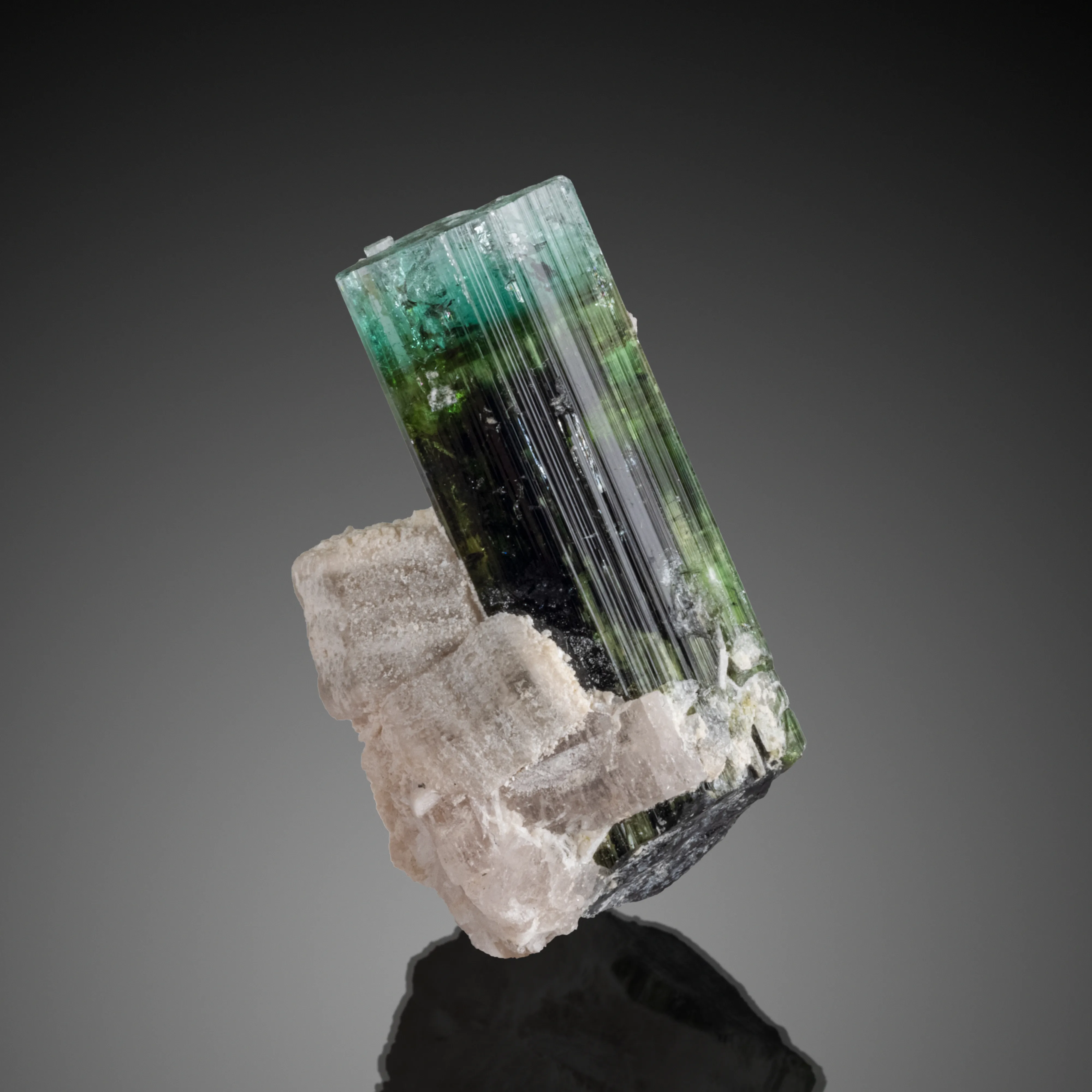 Apatite, Mica, Tourmaline from Pakistan, Gilgit-Baltistan, Roundu District, Haramosh Mts., Stak Nala - image 1