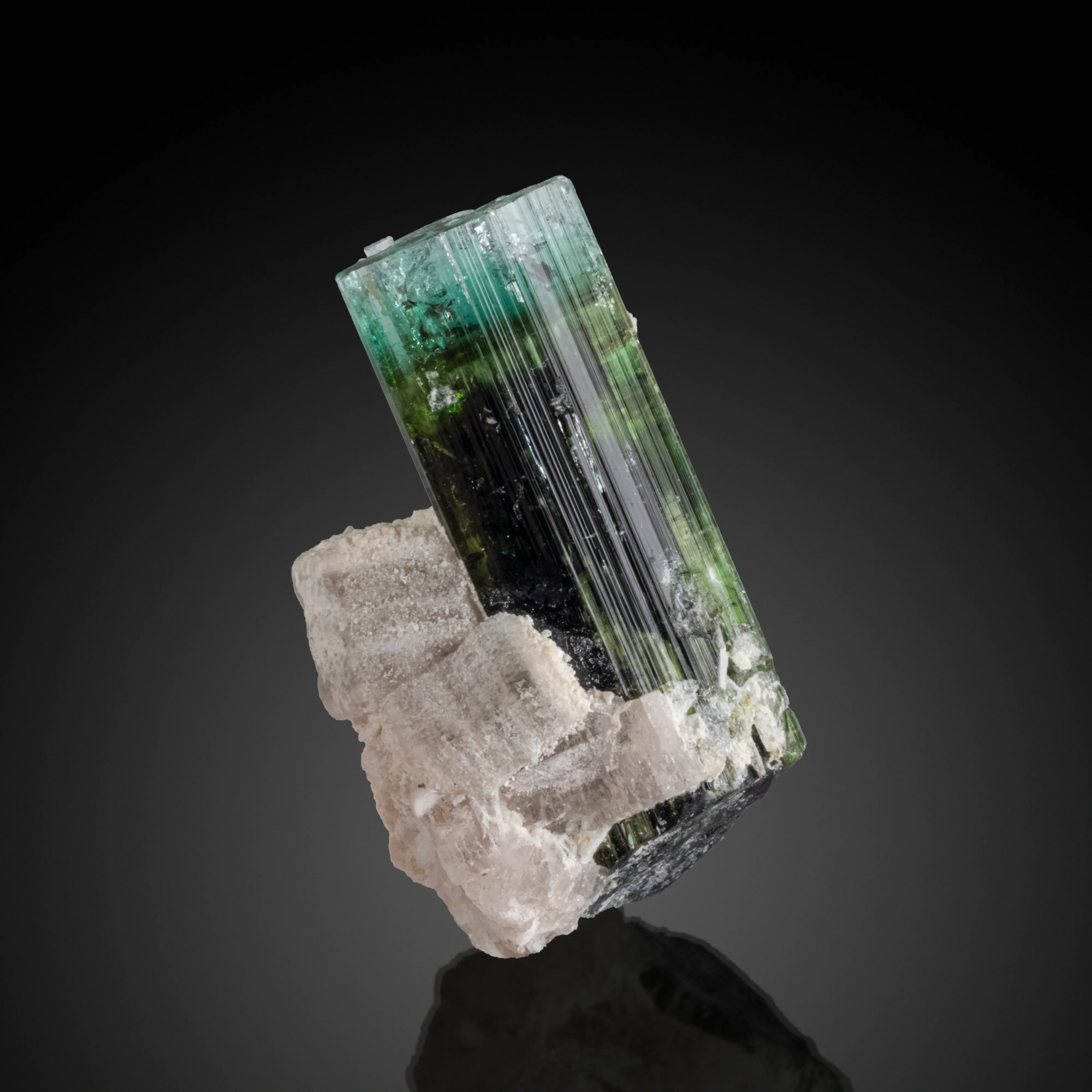Apatite, Mica, Tourmaline from Pakistan, Gilgit-Baltistan, Roundu District, Haramosh Mts., Stak Nala - image 2