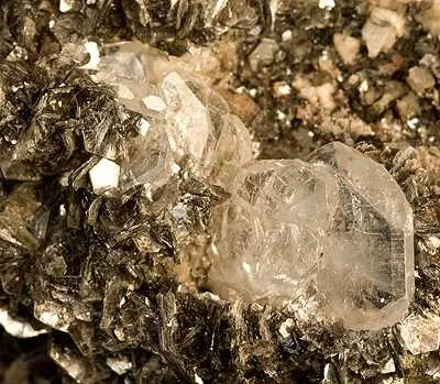 Apatite, Muscovite - image 2