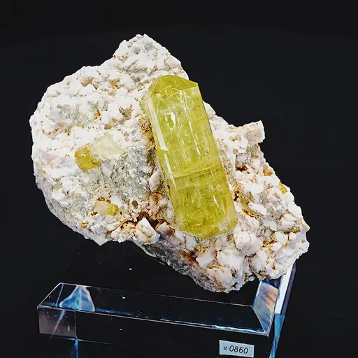 specimen video
