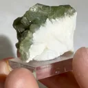 specimen video