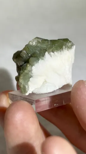 specimen video