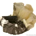 Apatite on Ferberite With Topaz - image 2