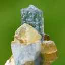 Apatite on Ghoshenite from Pakistan - image 2