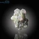 Apatite on Matrix – Stunning Mineral Specimen - image 1