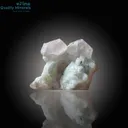 Apatite on Matrix – Stunning Mineral Specimen - image 5