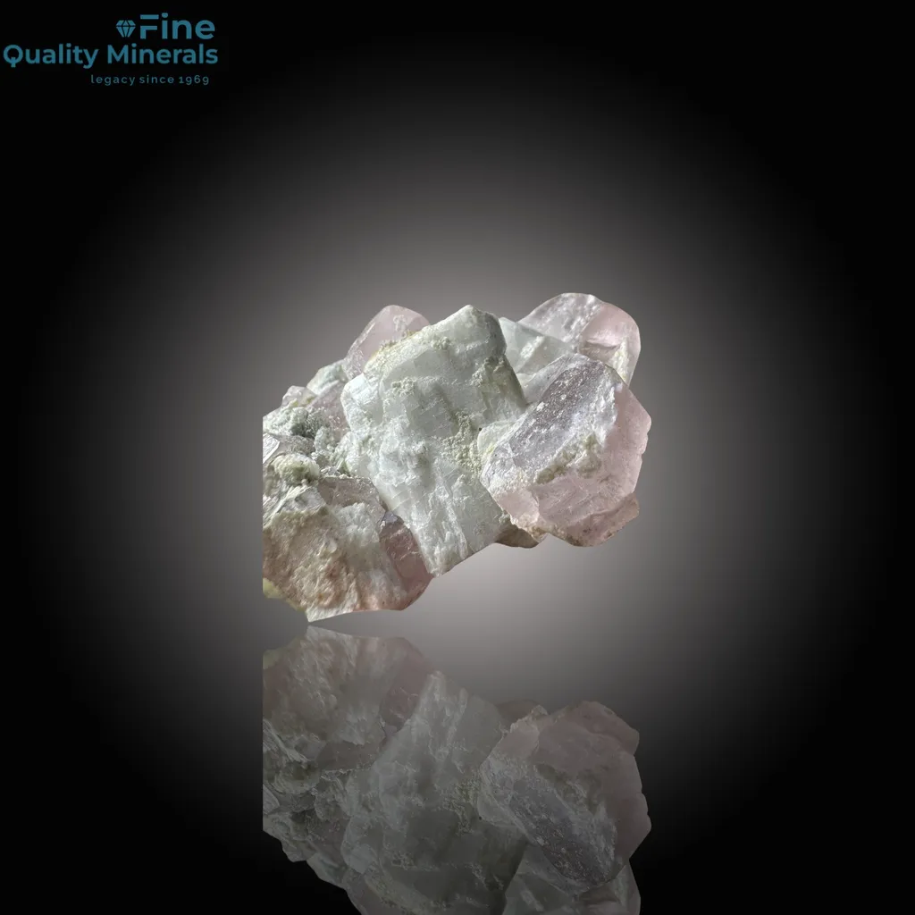 Apatite on Matrix – Stunning Mineral Specimen - image 2