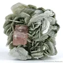 Apatite on Muscovite - image 2