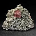 Apatite on Muscovite - image 2