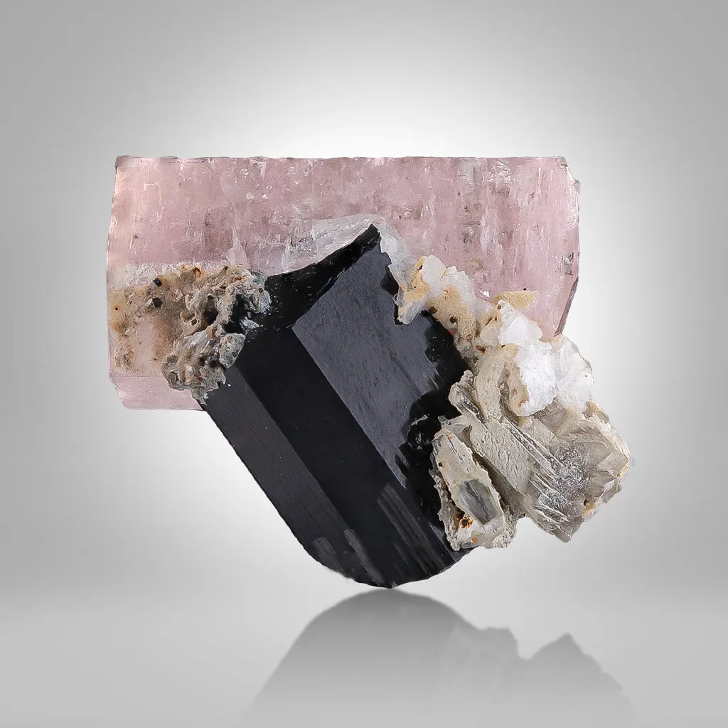 Apatite on Schorl - image 2