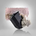 Apatite on Schorl - image 2