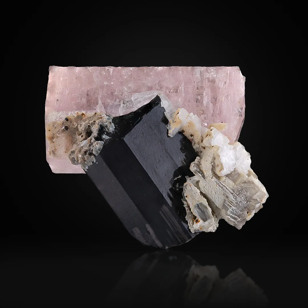 Apatite on Schorl - image 1