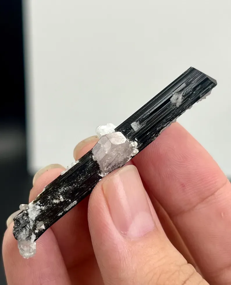 Apatite on Schorl - image 2