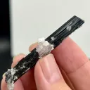 Apatite on Schorl - image 2