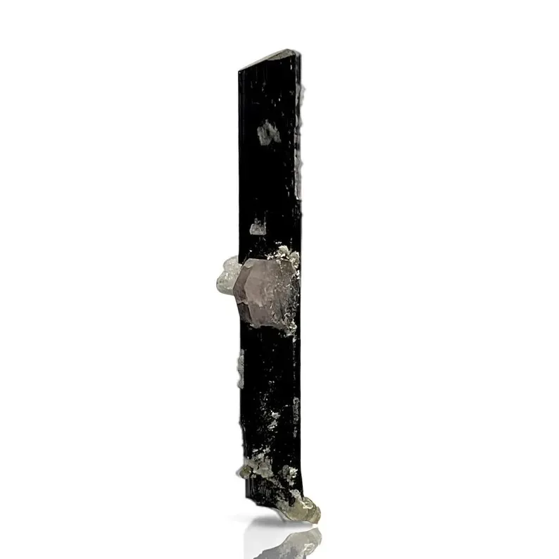 Apatite on Schorl image