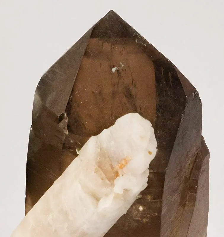 Apatite on Smoky Quartz - image 4