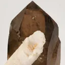 Apatite on Smoky Quartz - image 4
