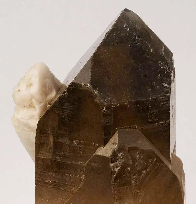Apatite on Smoky Quartz - image 5