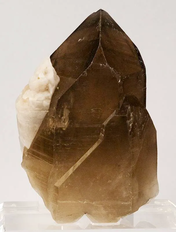 Apatite on Smoky Quartz - image 3