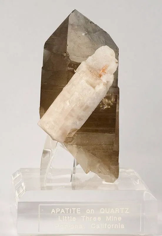 Apatite on Smoky Quartz image