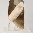 Apatite on Smoky Quartz - image 1