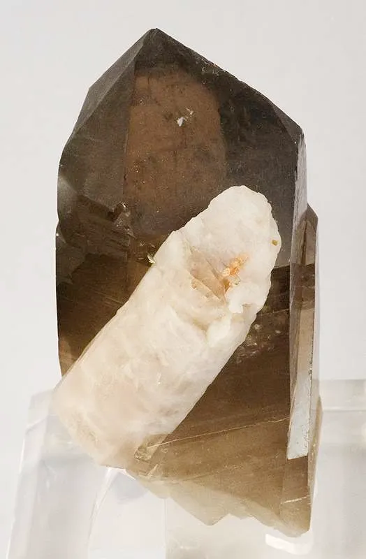 Apatite on Smoky Quartz - image 2