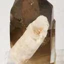 Apatite on Smoky Quartz - image 2