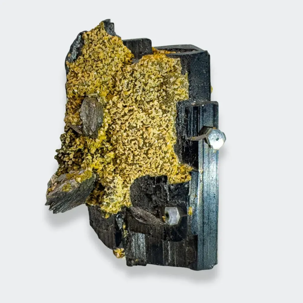 Apatite on Wolframite & Calcite from Portugal, Panasqueira Mines image