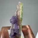 Apatite, Tourmaline from Afghanistan - image 4
