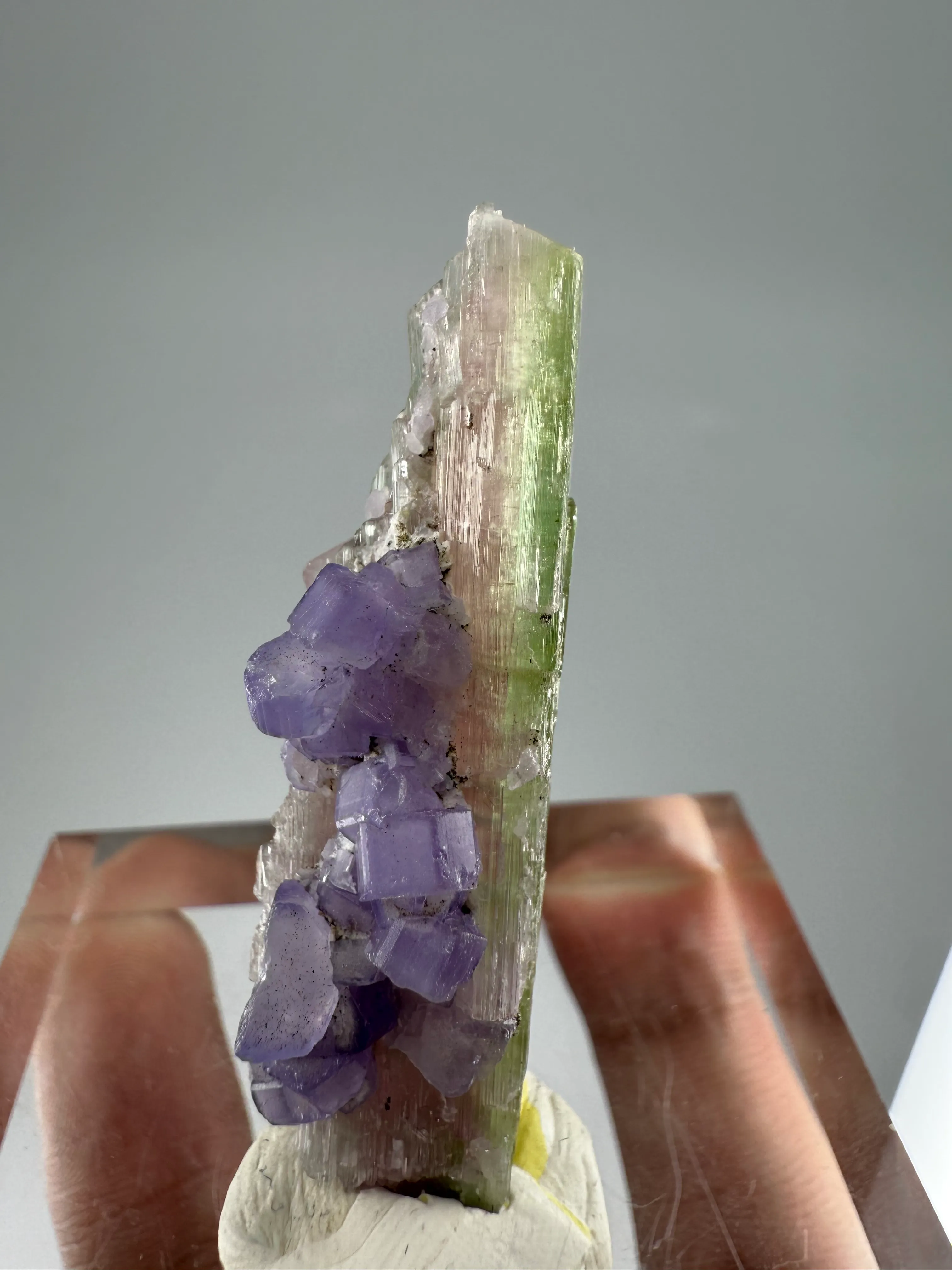 Apatite, Tourmaline from Afghanistan - image 4