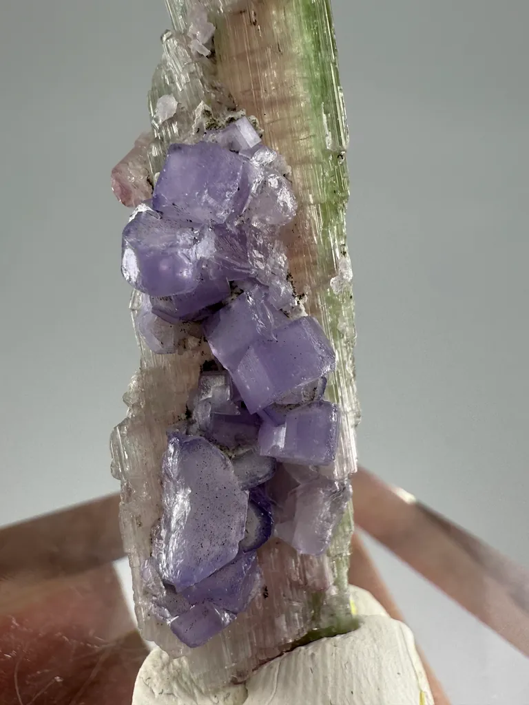 Apatite, Tourmaline from Afghanistan image