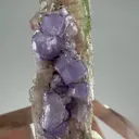 Apatite, Tourmaline from Afghanistan - image 1