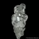 Apatite with Actinolite - image 1