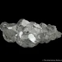 Apatite with Actinolite - image 4