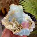 specimen video