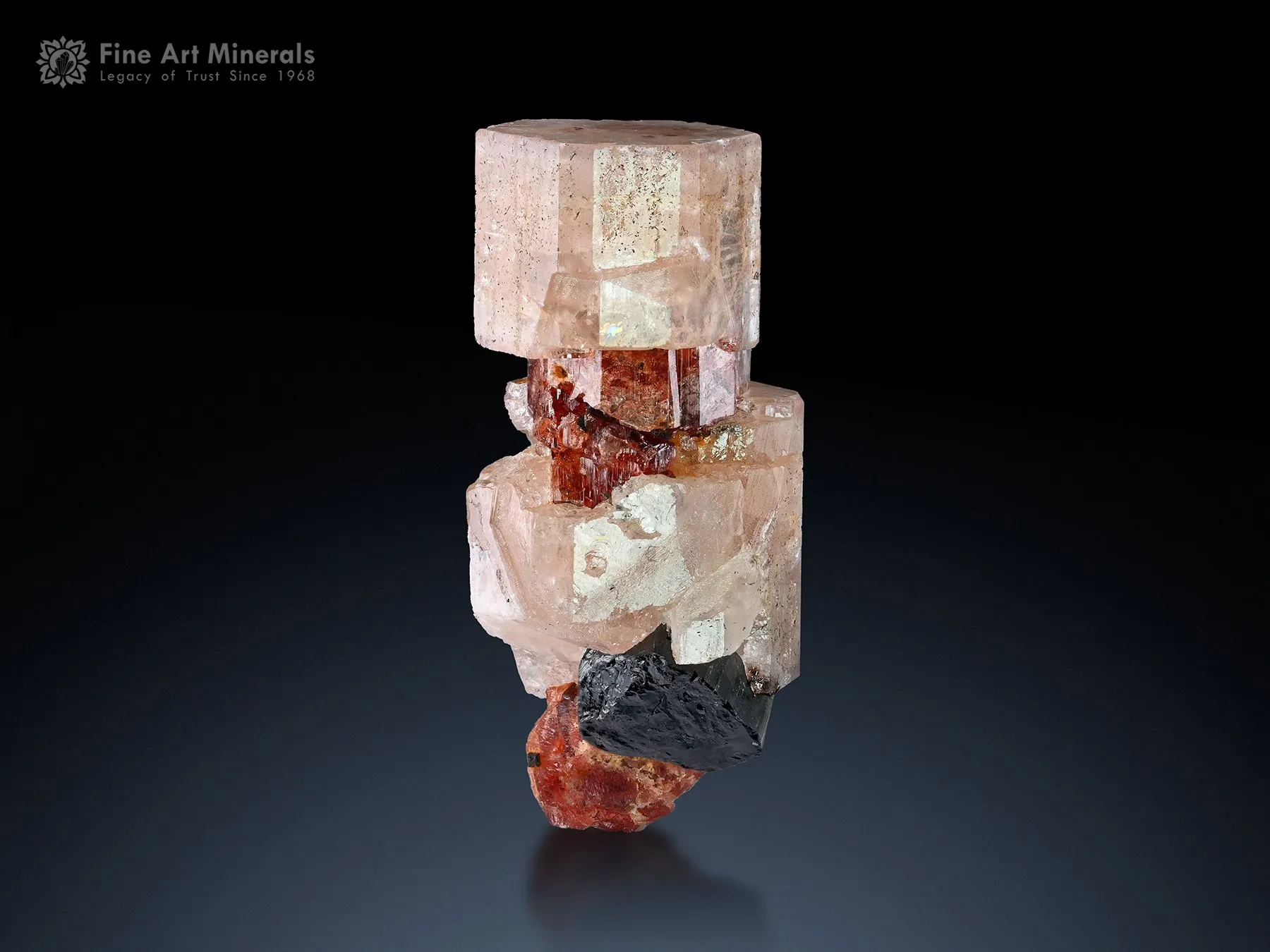 Apatite with Garnet and Schorl from Pakistan - image 1