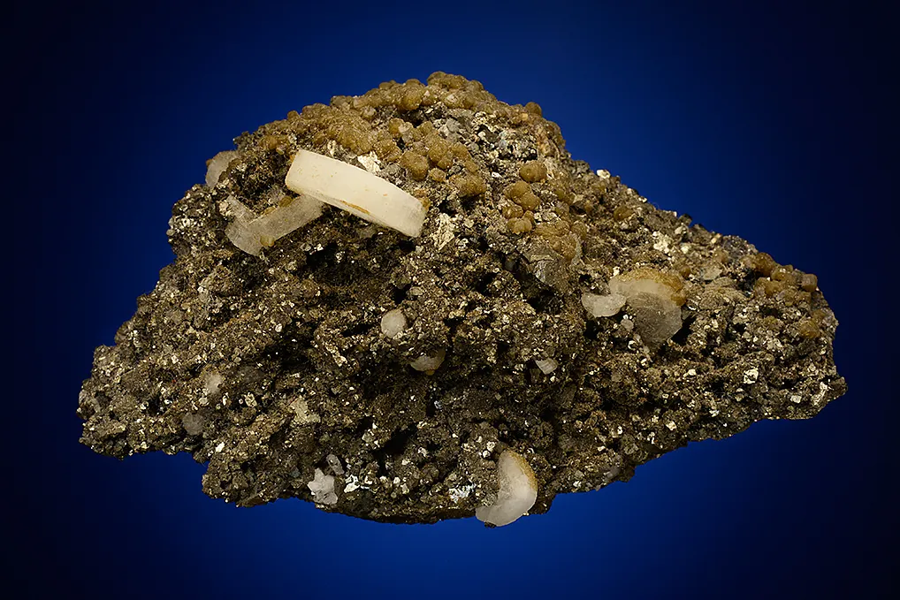Apatite with Siderite and Pyrite - image 5
