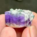 Apatite with Tourmaline - image 3