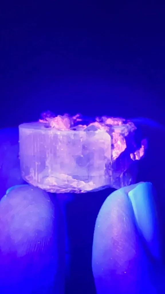 Apatite with Tourmaline - image 5