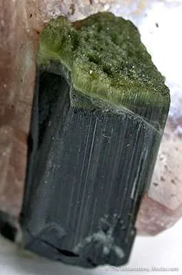 Apatite With Tourmaline - image 4