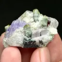 Apatite with Tourmaline, Tantalite and Muscovite - image 4