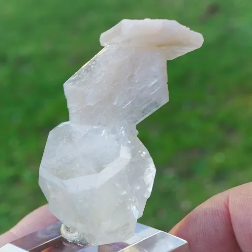 specimen video