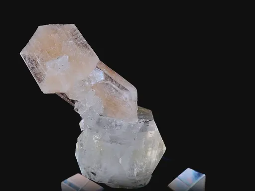 specimen video