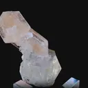 specimen video