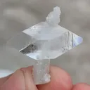 specimen video