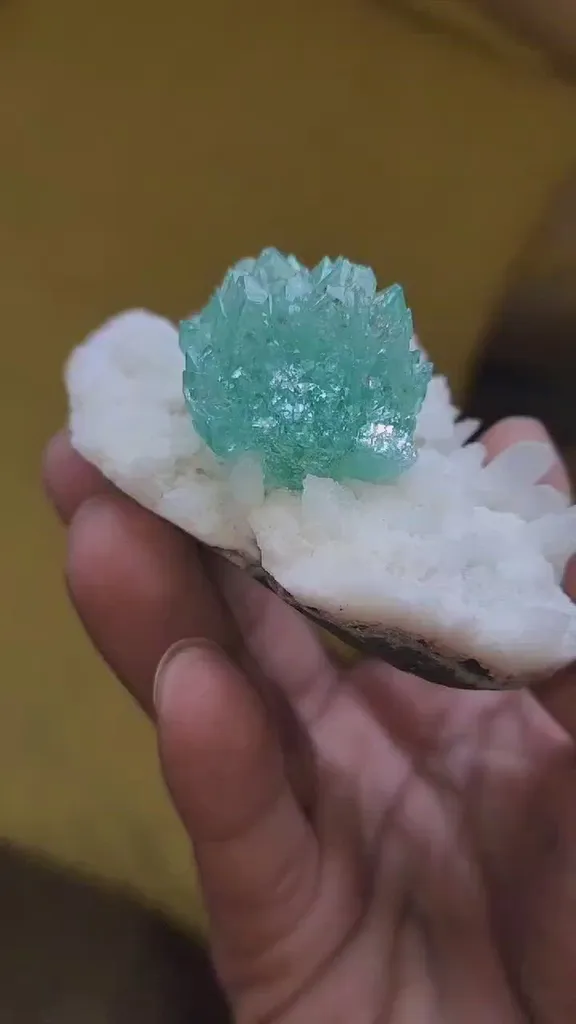 specimen video