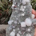 specimen video